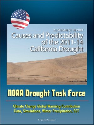 cover image of Assessment Report